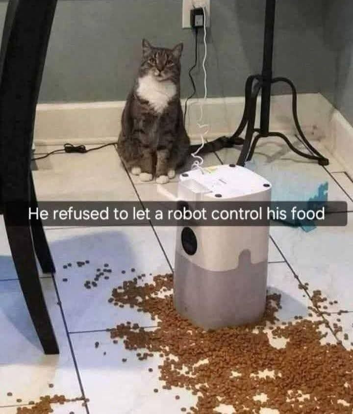 1745605595062.jpeg