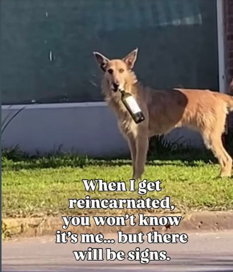 1756418199448.png