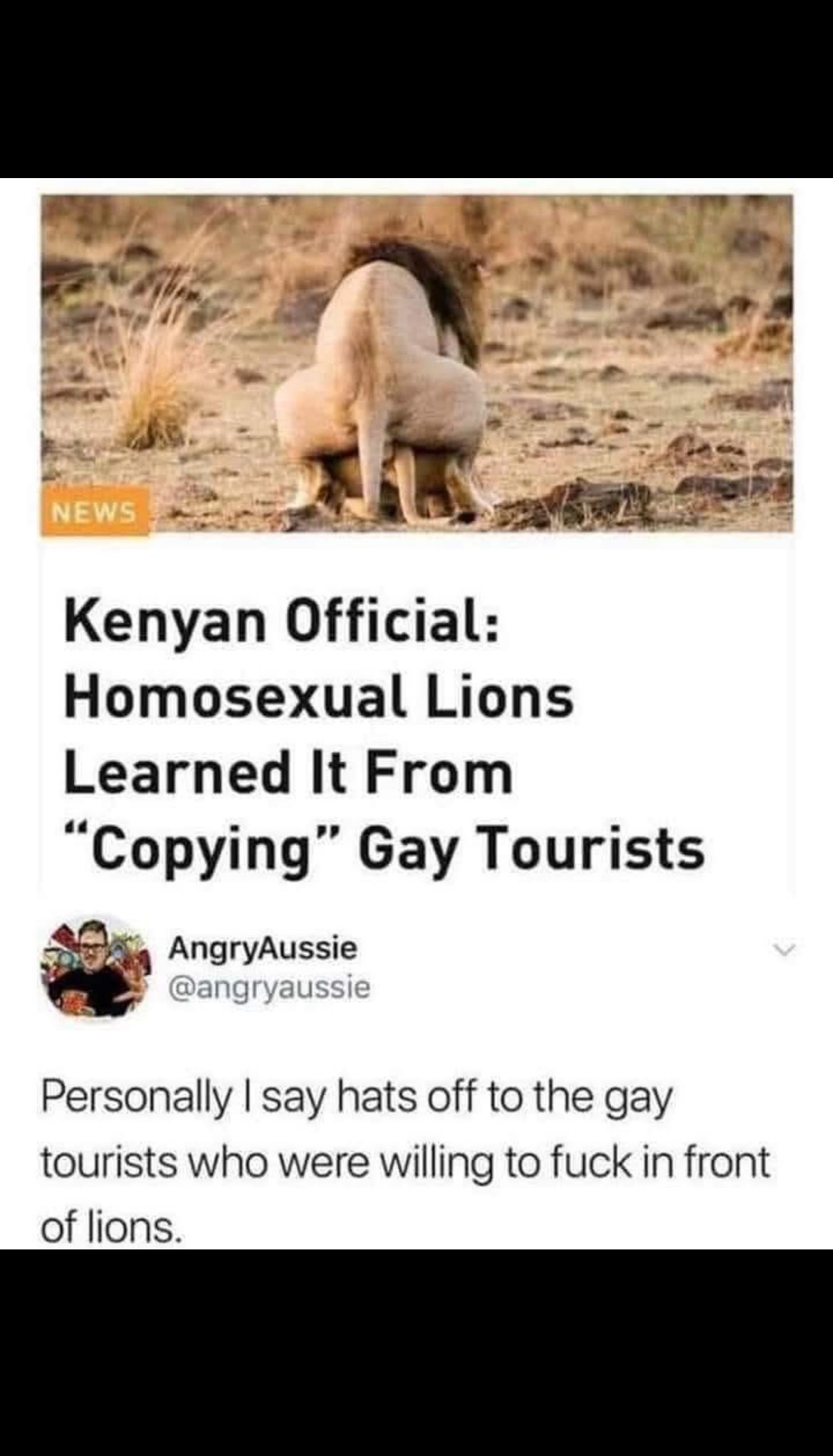 1756482113684.jpeg