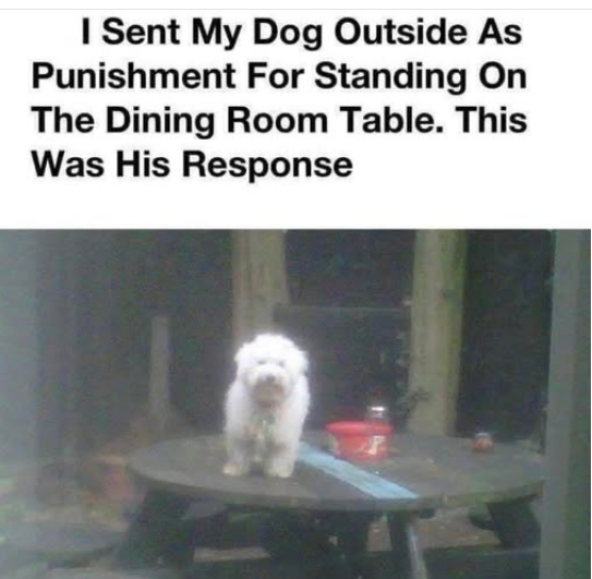 1756606237491.png