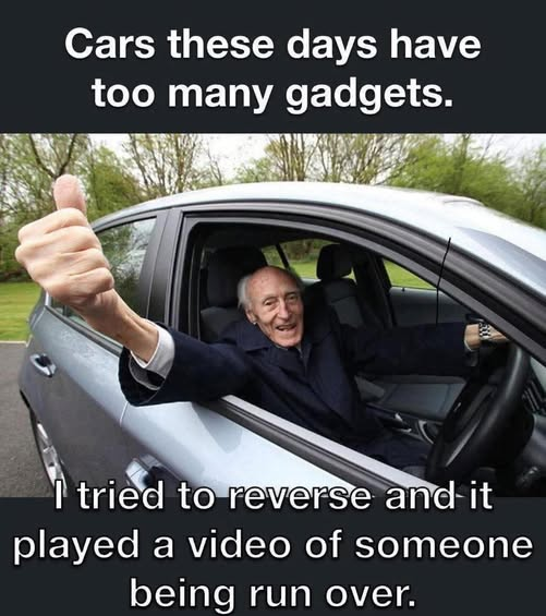 1756930429980.png