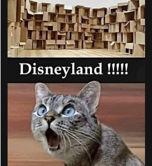1757342928639.png