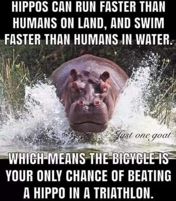 1757880122438.png