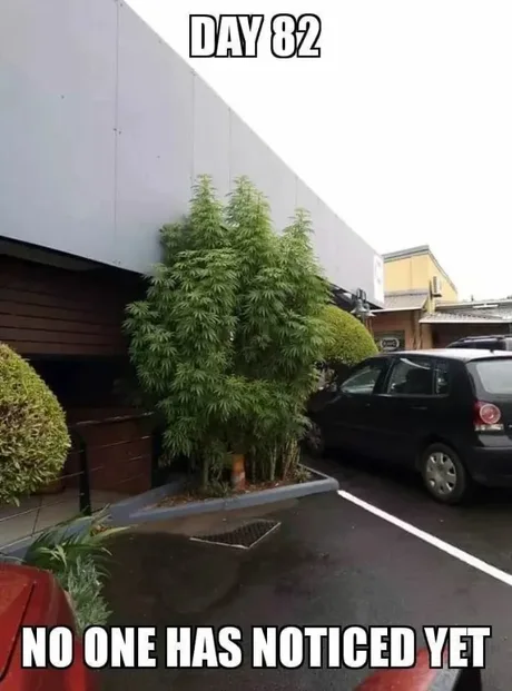 1765903637170.png