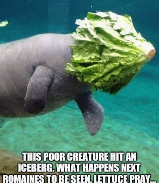 1781321644519.png