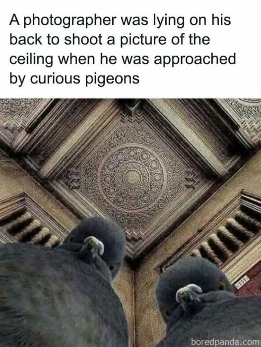 1784943366259.png