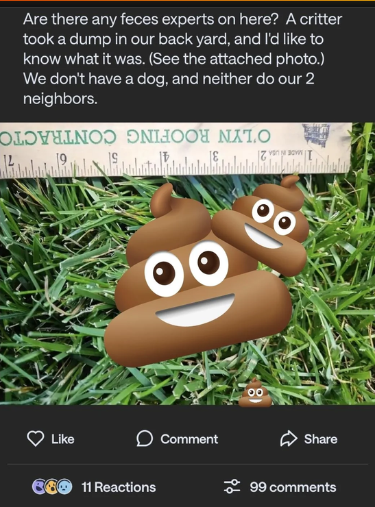1785526942137.png