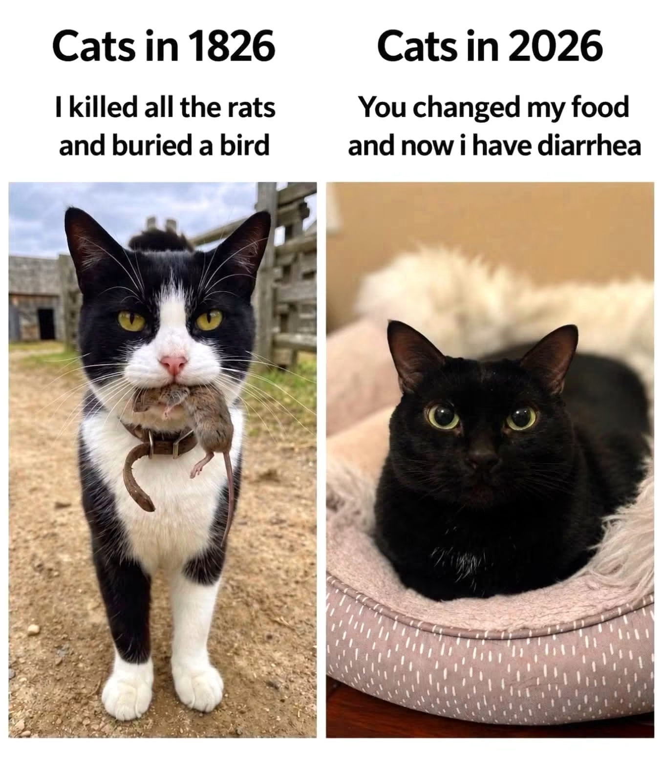 1792692554431.png