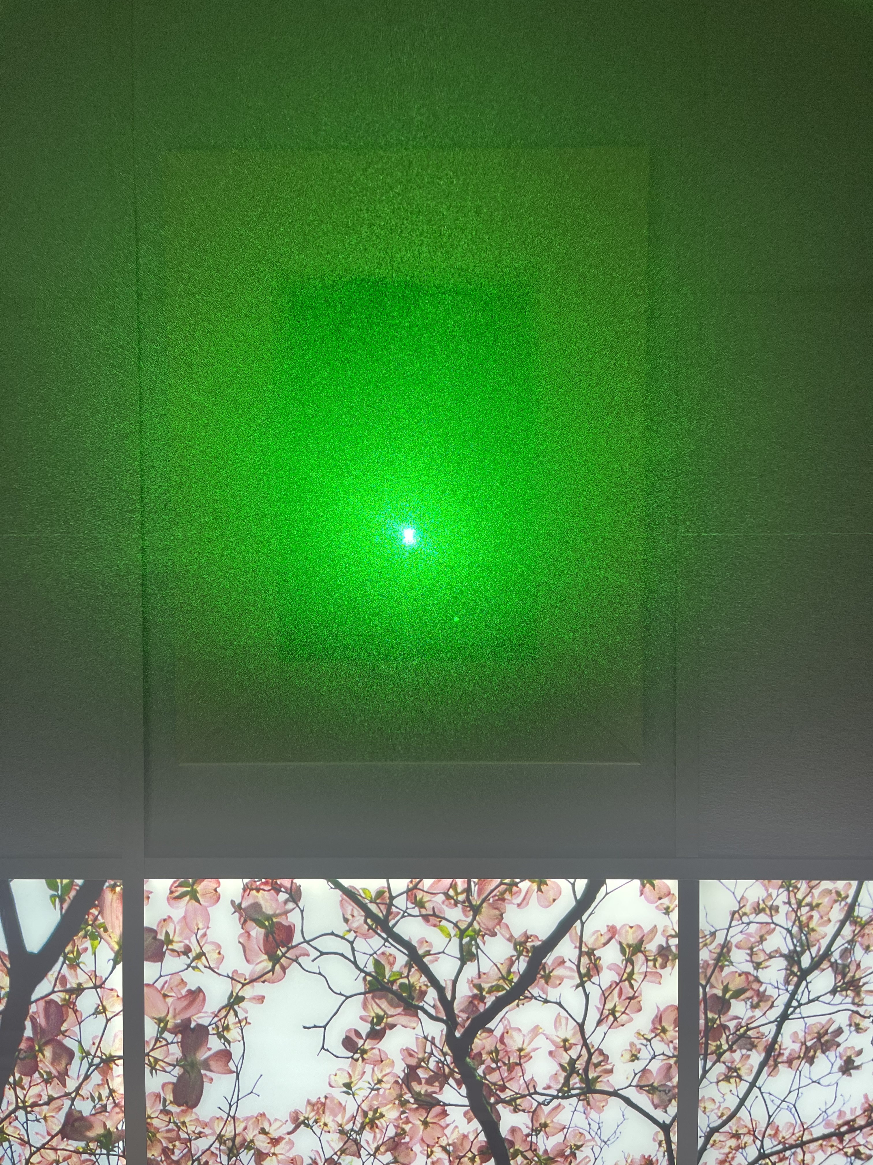 5C1AD5E6-CEE1-45DC-933A-5FD84114D5E3.jpeg