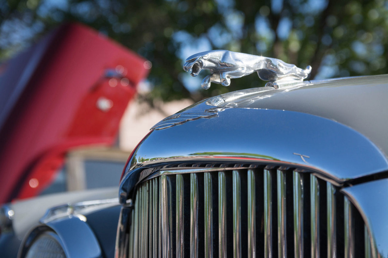 _DSC8866.jpg