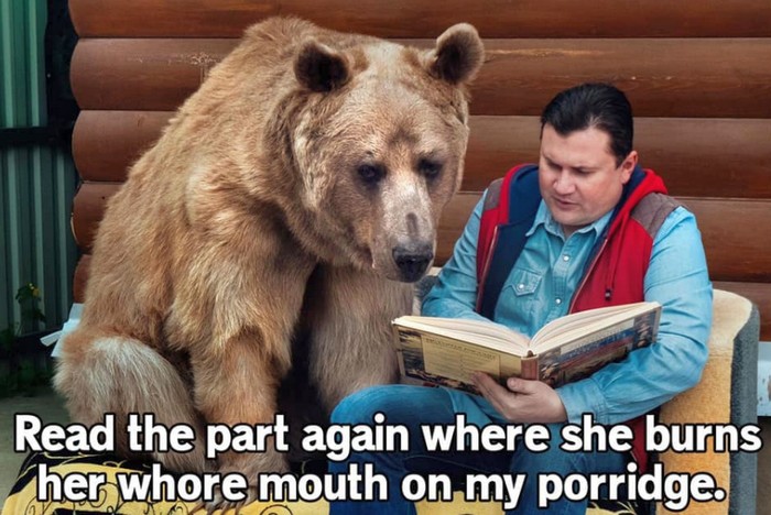 bear.jpg