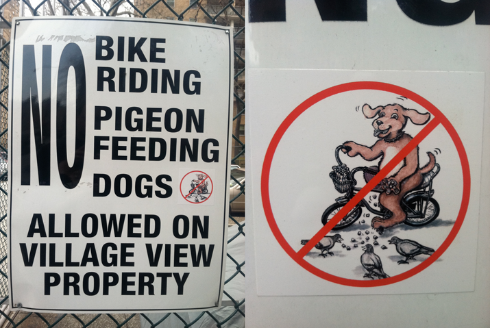 bikepigeondog.png