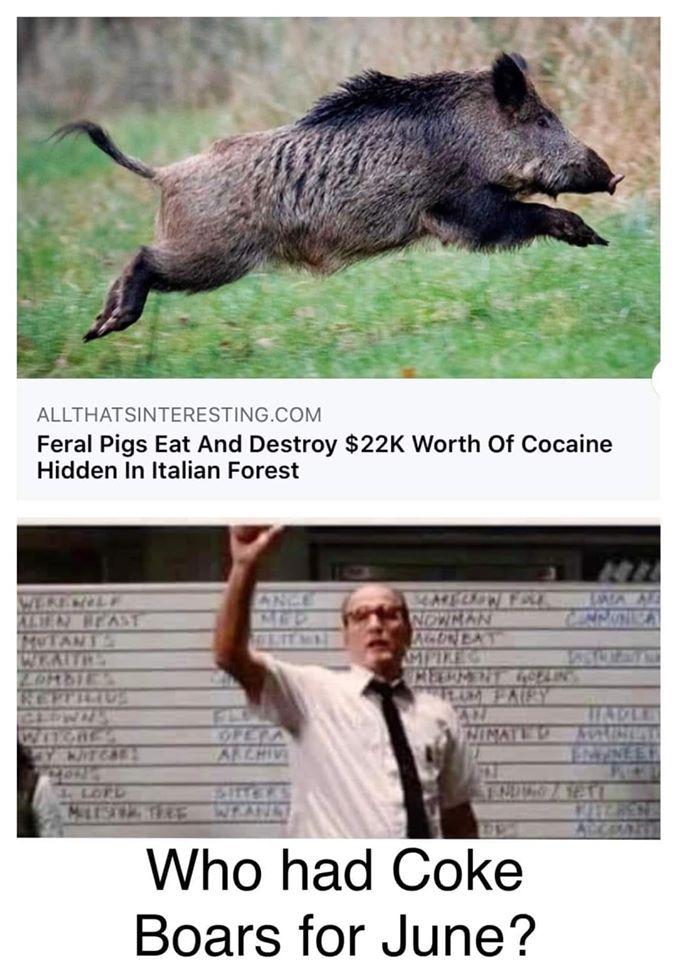 cokeboars.jpg