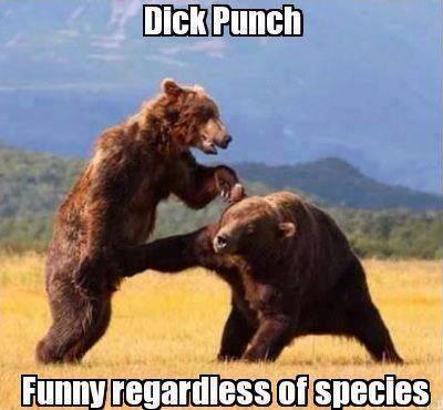 Dick Punch.jpg