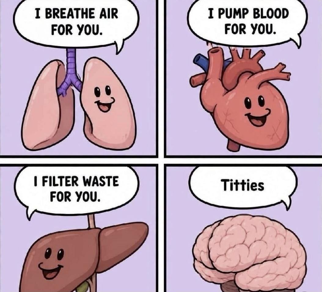 e2a140c1-b0af-4546-8b1e-df85174b12ca.jpg