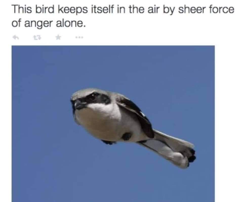 FB_IMG_1625106245124.jpg