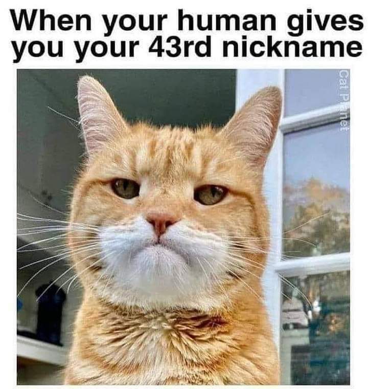 FB_IMG_1713951843705.jpg