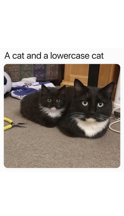 FB_IMG_1748874179488.jpg