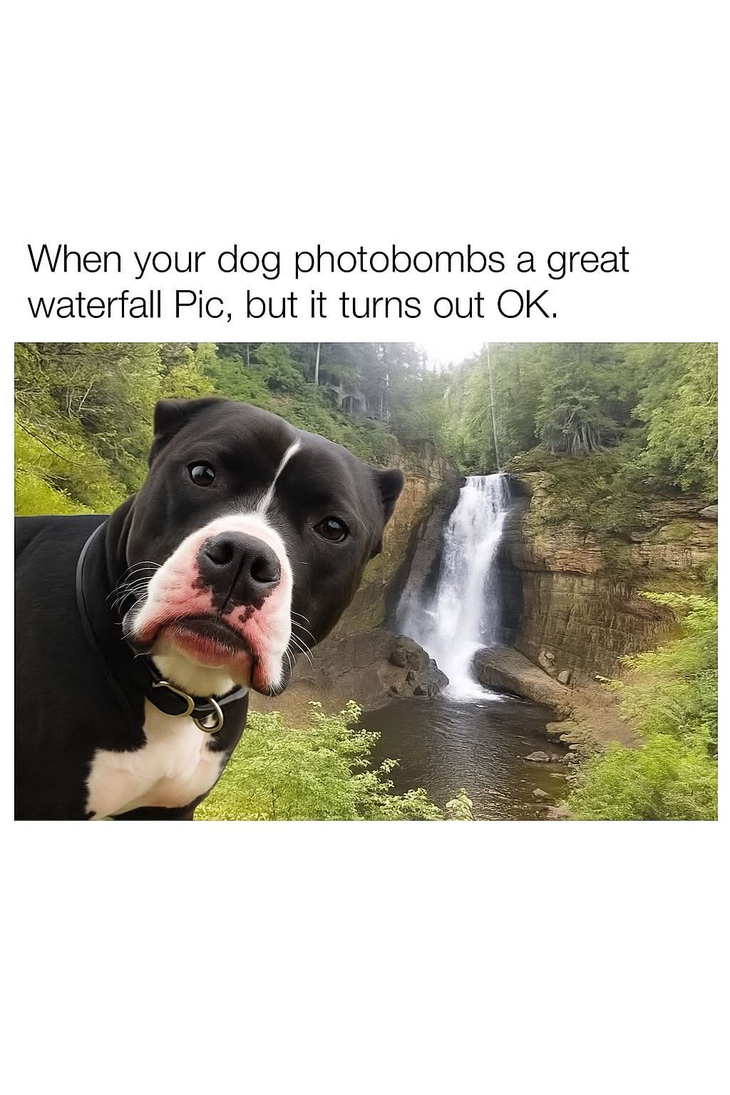 FB_IMG_1748961831495.jpg
