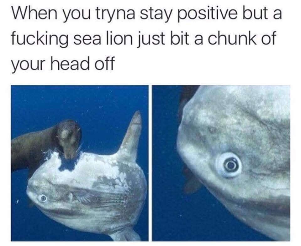 FB_IMG_1756468462875.jpg