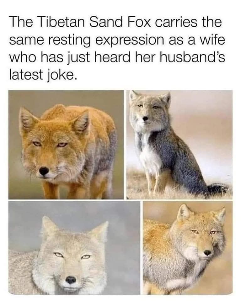 FB_IMG_1757410893120.jpg