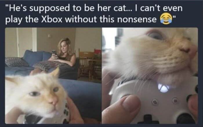 FB_IMG_1758021063363.jpg