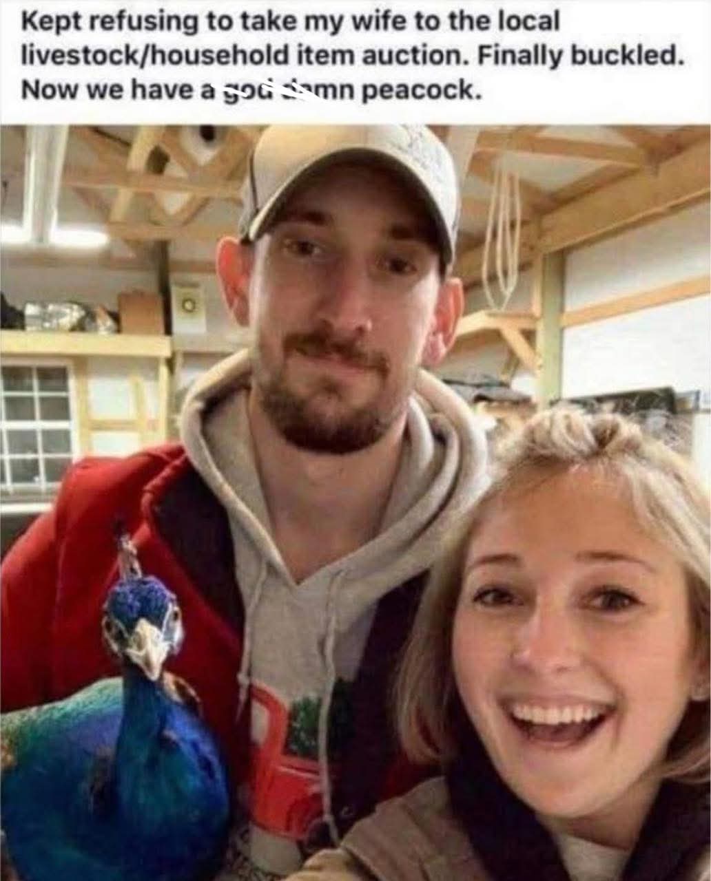 FB_IMG_1758029534582.jpg
