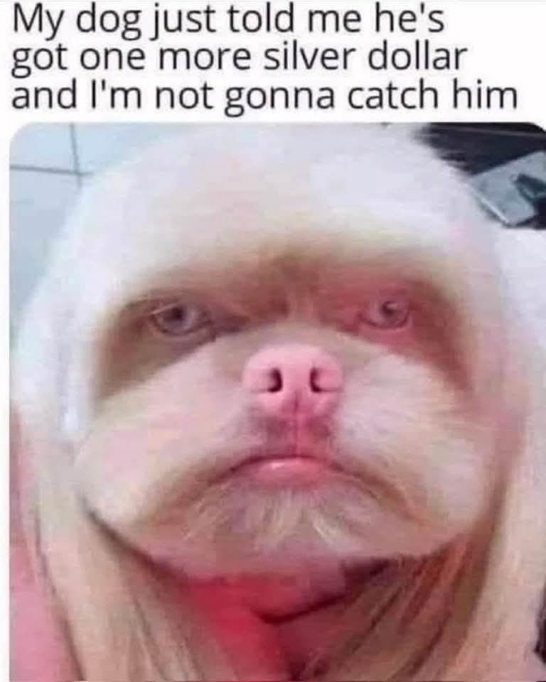 FB_IMG_1785300574578.jpg