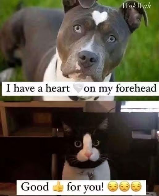 FB_IMG_1788788414189.jpg