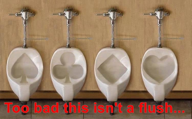 Flush.jpg