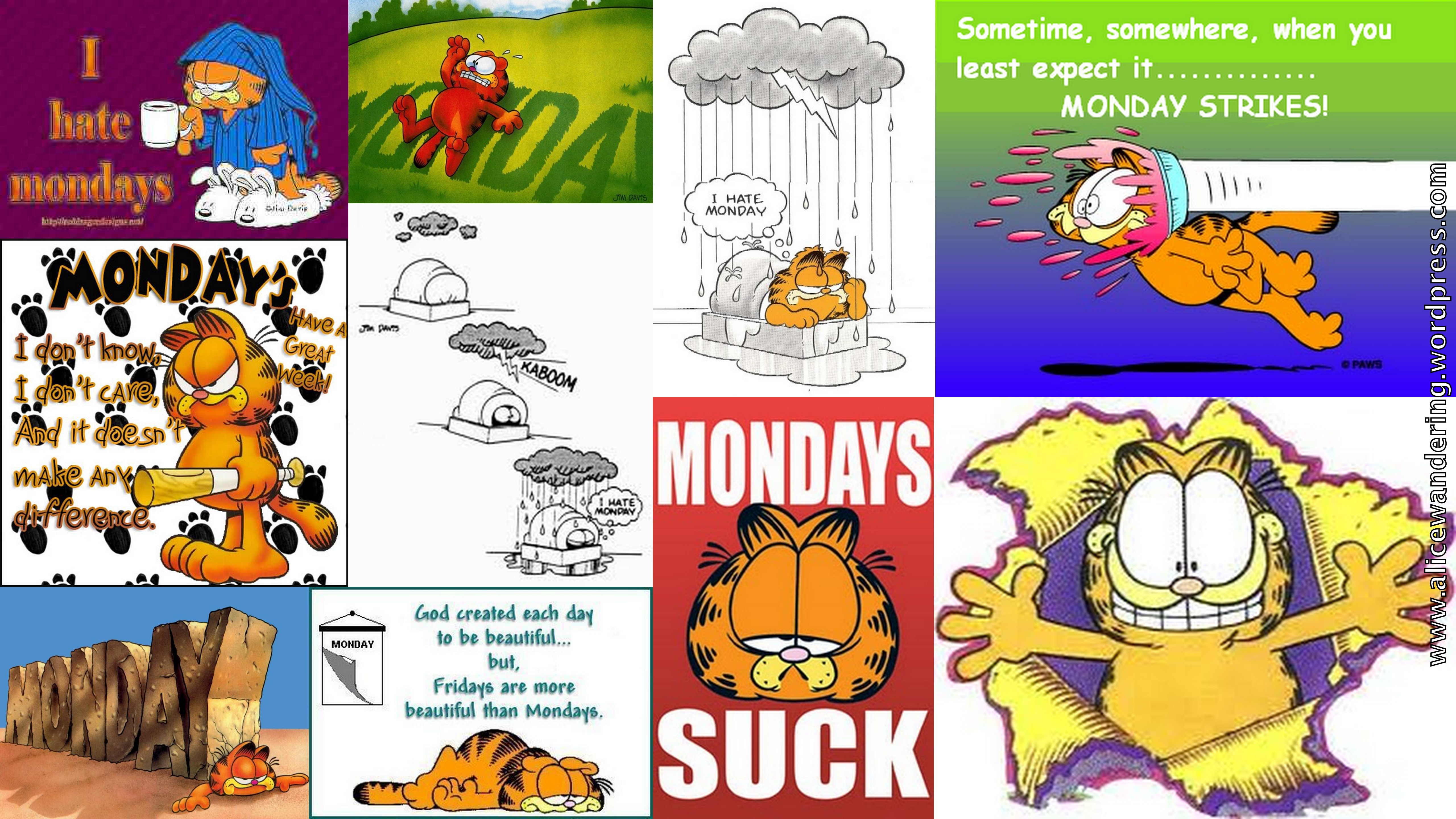 garfield-monday.jpg