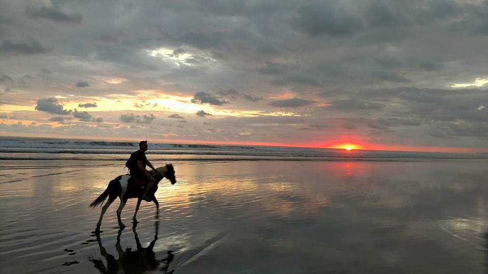 Horse beach pic.jpg