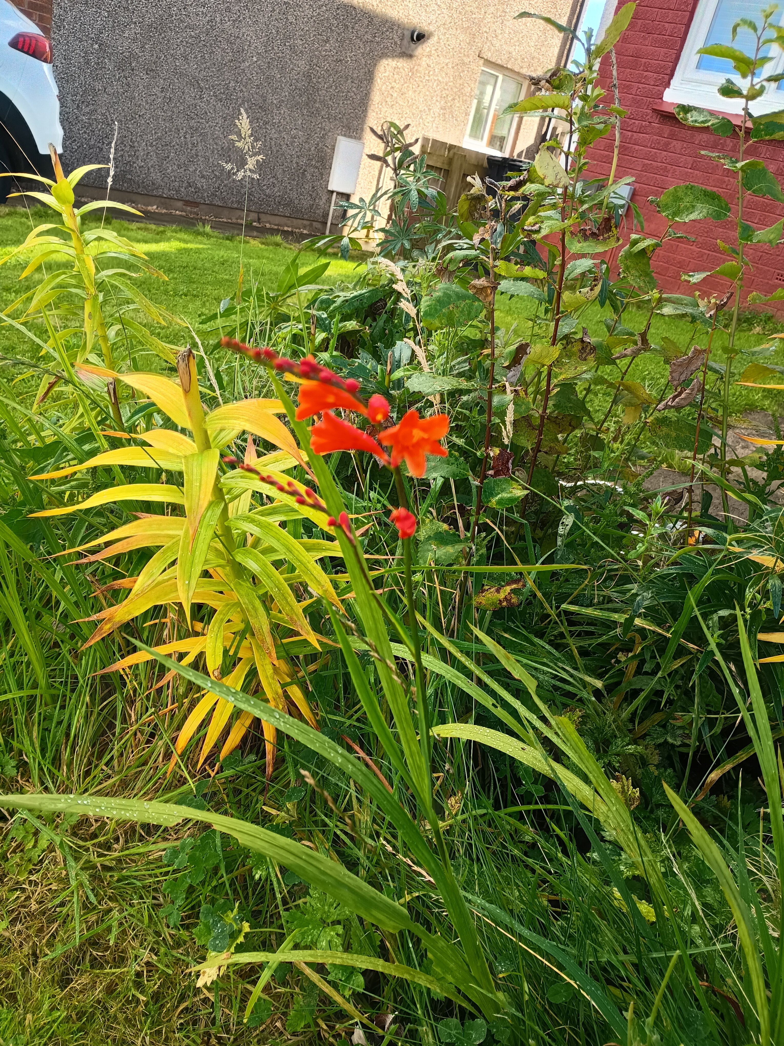 IMG_20261011_130335199_HDR.jpg