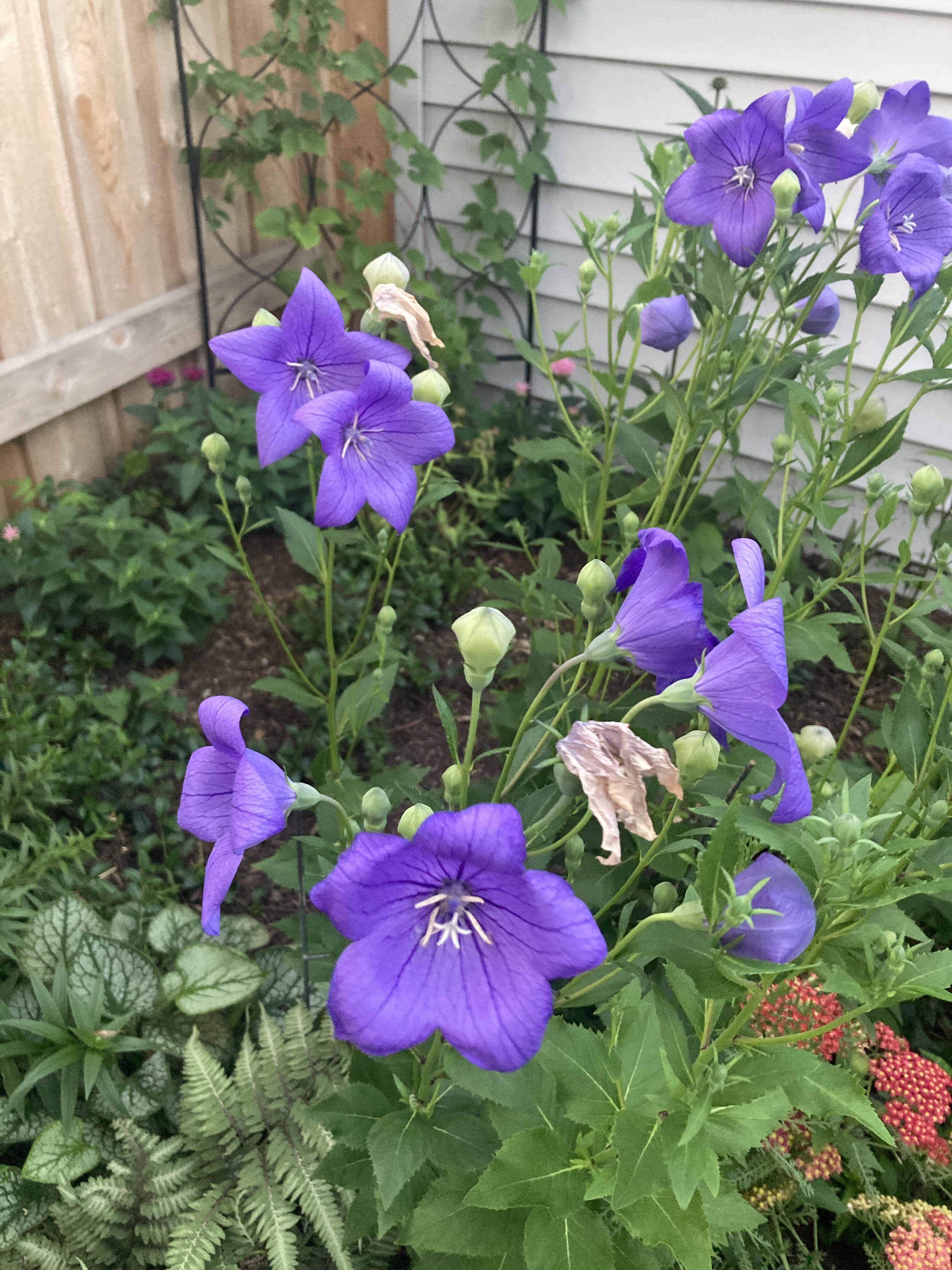 IMG_5835.jpeg