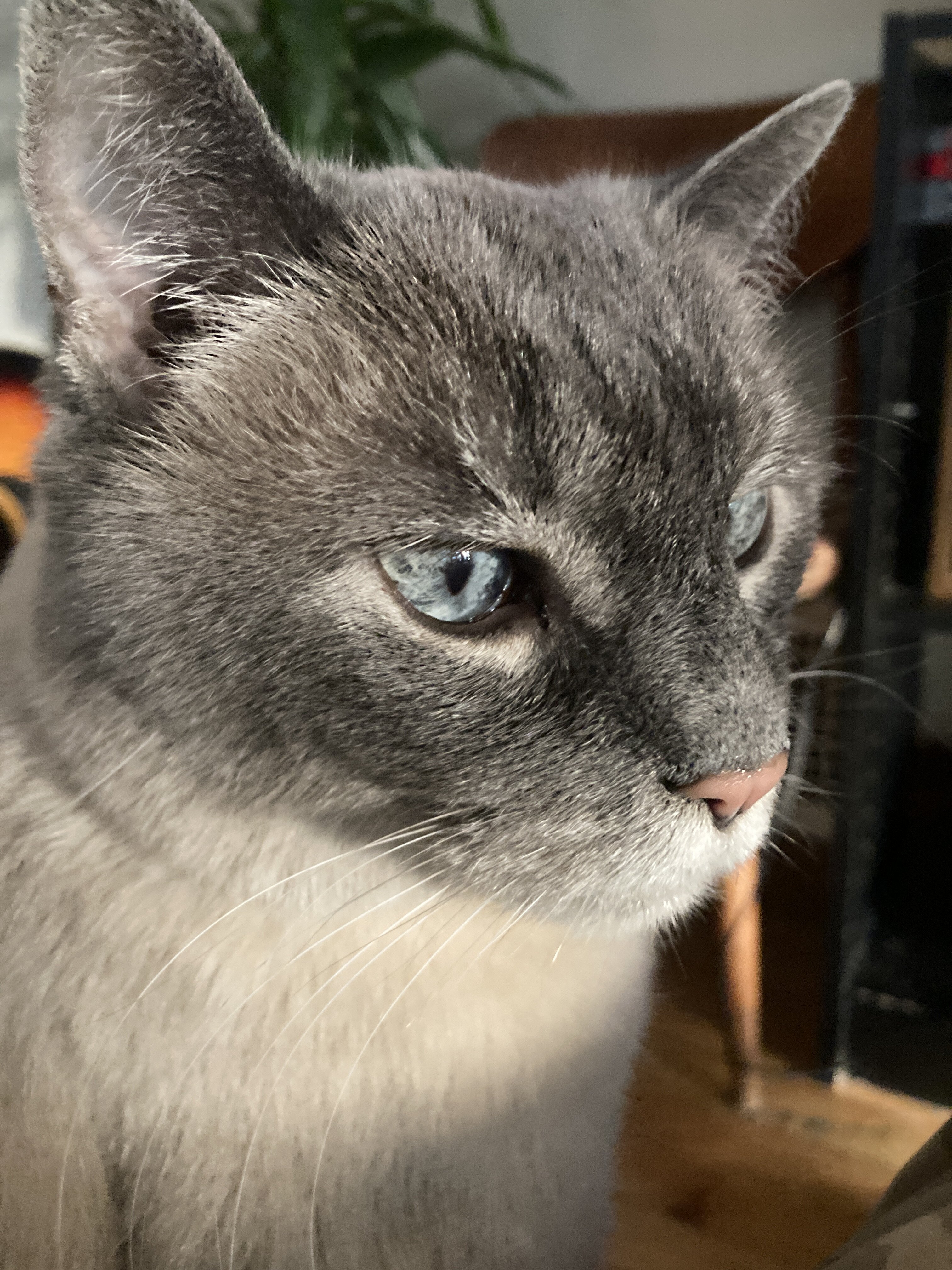 IMG_6324.jpeg