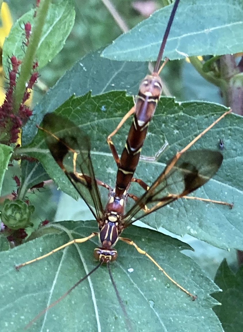 IMG_6855.jpeg