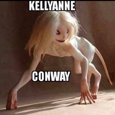 Kellyanne creature.jpeg