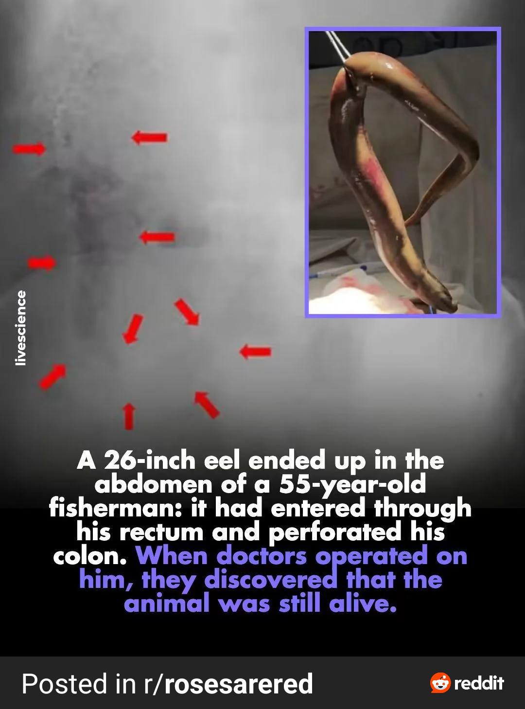 RDT_20261009_0911292525851717677143786.png