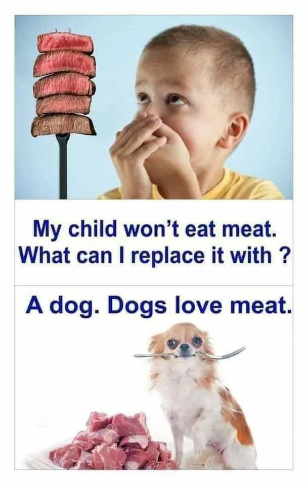 upload_2023-4-26_15-39-11.png