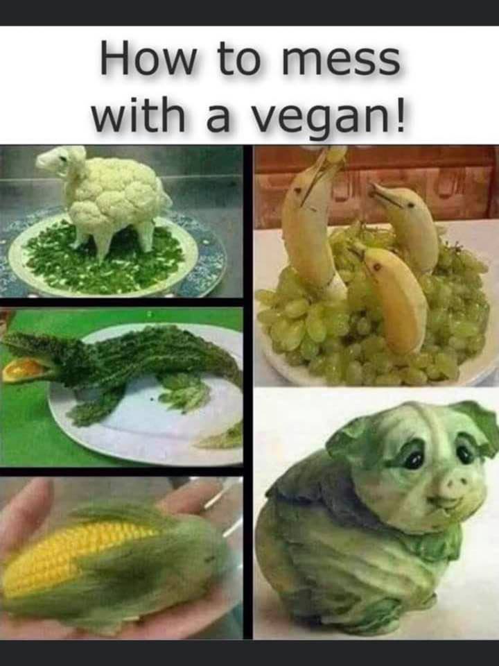 vegan.jpg