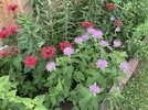 IMG_5949.jpeg