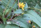 IMG_6854.jpeg