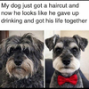 1791481902594.png