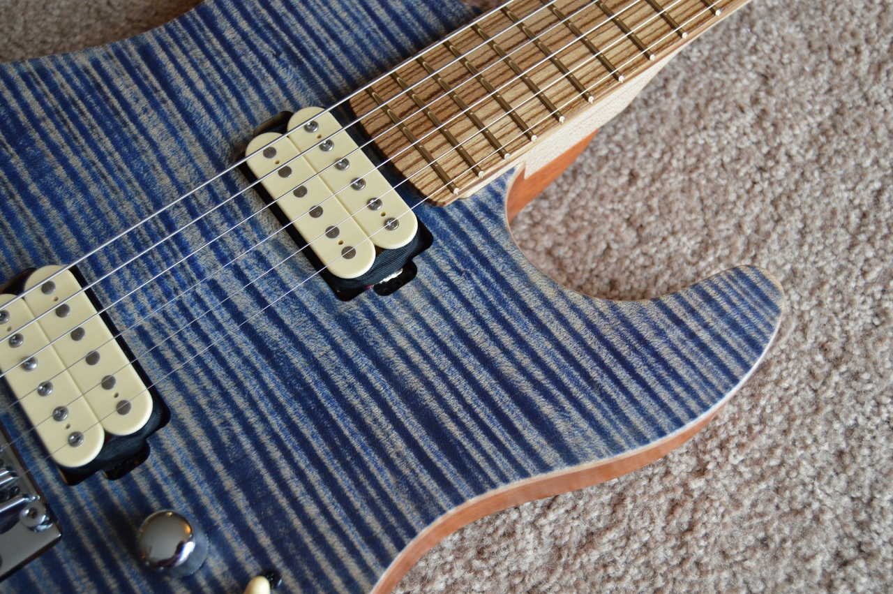 kiesel zebrawood fretboard