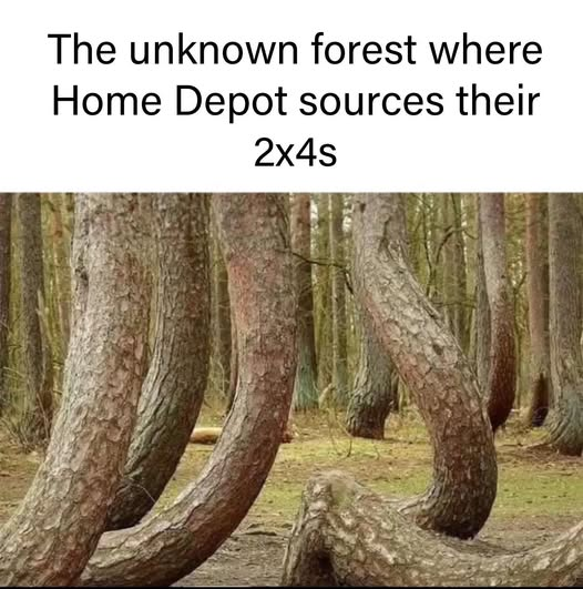 1746476143503.png