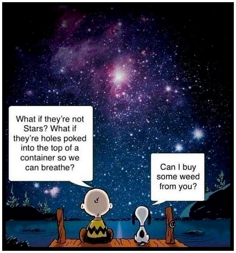 1750341965946.png