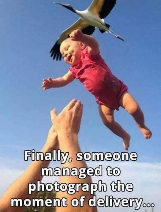 1751220346989.png