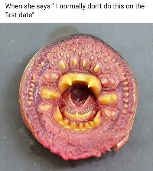 1757813243073.png