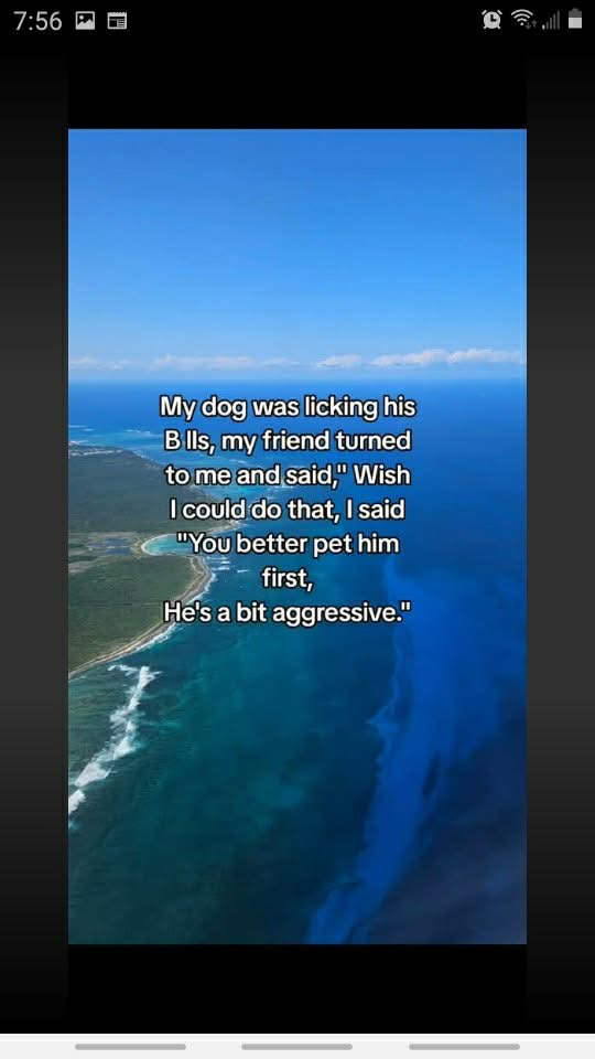 1759079124385.png