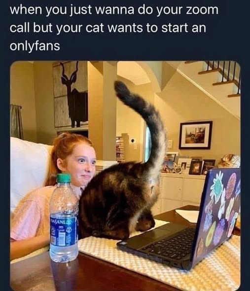 1776867800228.png